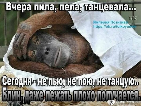 Опохмелись картинки