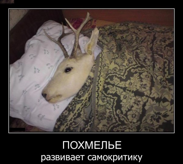 Открытки с похмелья прикольные