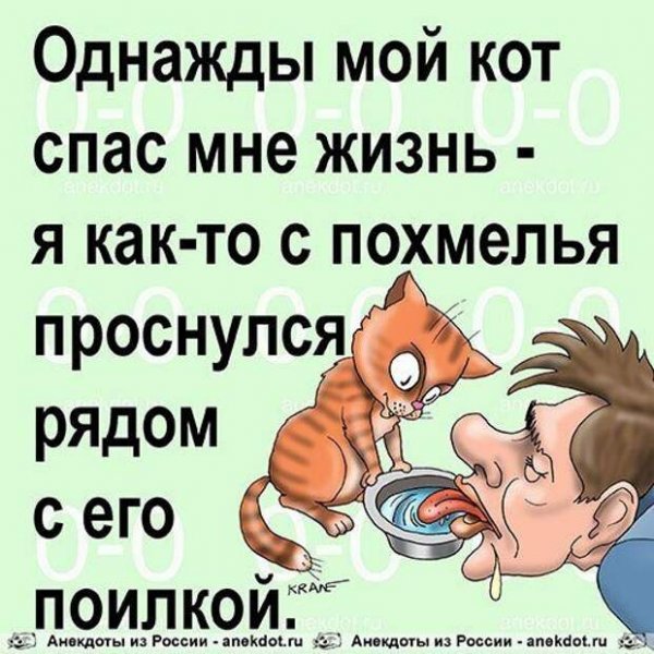 Похмелье приколы