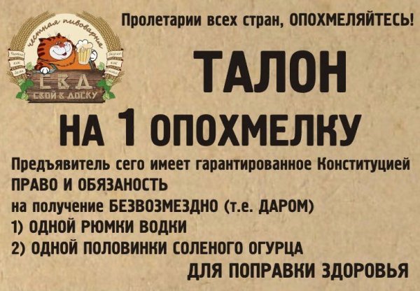 Кот с бодуна