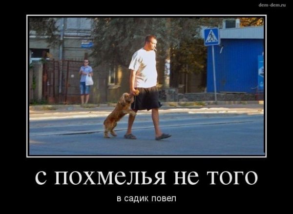 Открытки с похмелья прикольные