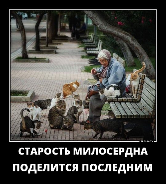 Про старость прикольные