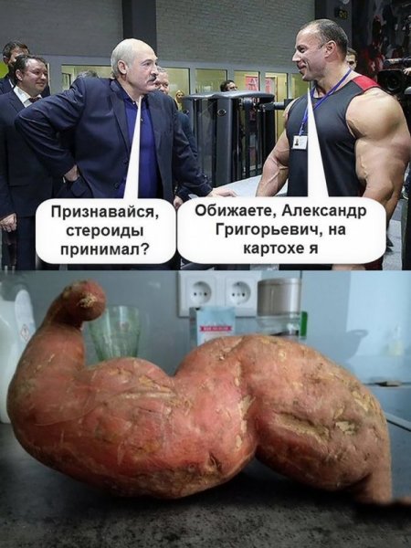 Смешные качки