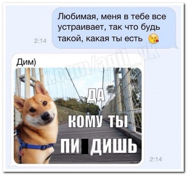 Приколы про Диму