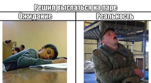 Студент армия прикол