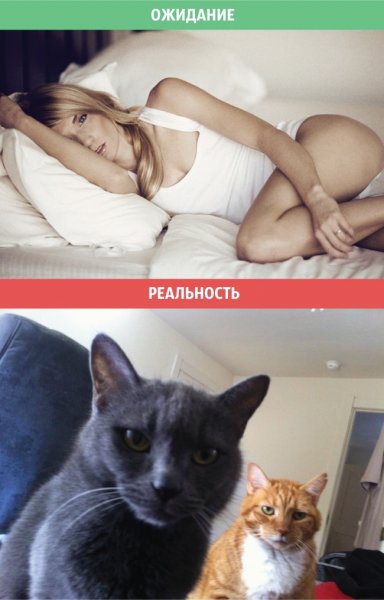 Ожидание и реальноожид