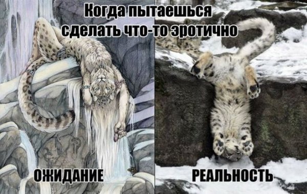 В ожидании картинки приколы