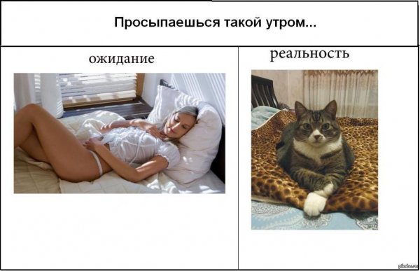 Селфи ожидание и реальность