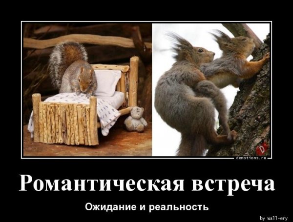 Ожидание реальность ожидание