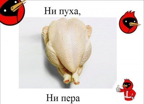 Ни пуха ни пера прикол