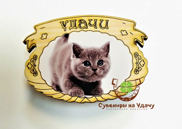 Кот желает удачи