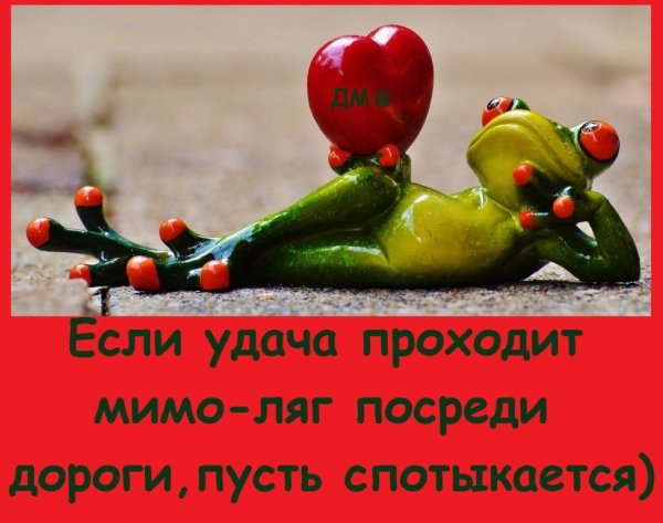 Цитаты про удачу и везение смешные