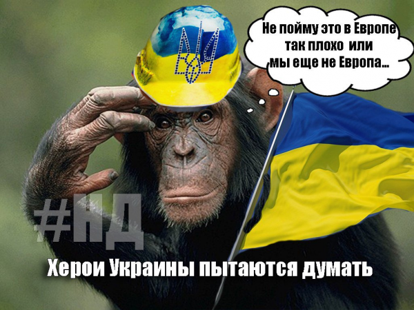 Хохлы обезьяны