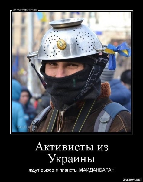 Мемы с украинскими свиньями