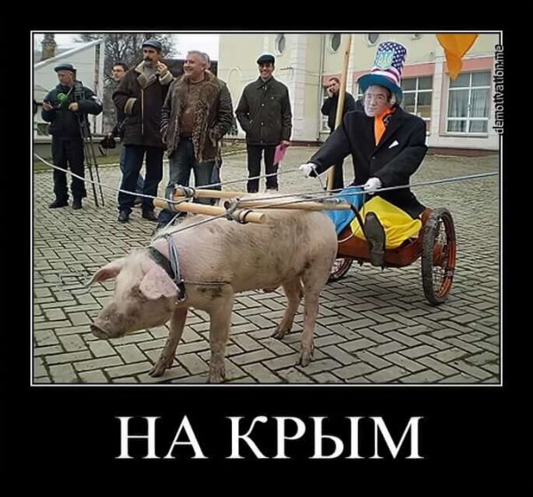 Мемы с украинскими политиками