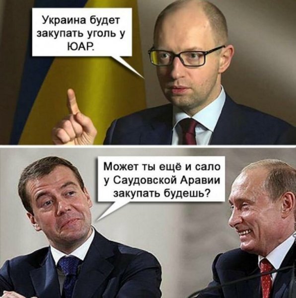 Хохол головного мозга