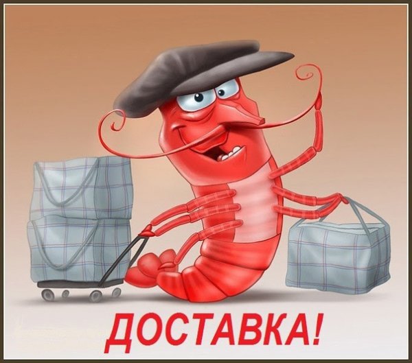 Креветка прикол