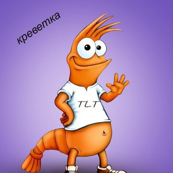 Креветки рисунки прикольные