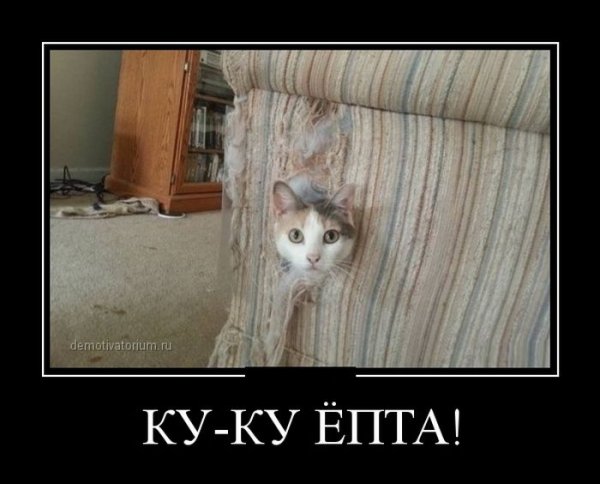 Куку прикол