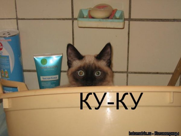 Надпись ку ку