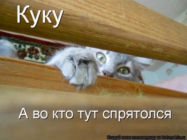 Надпись Куку