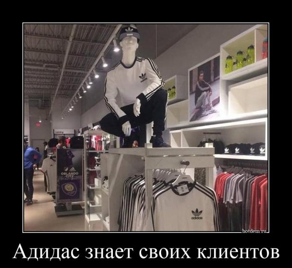 Адидас демотиваторы