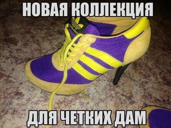 Туфли адидас прикол