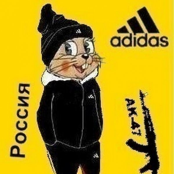 Заяц в адидасе
