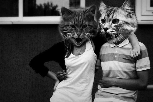 Девушка с кошачьей головой