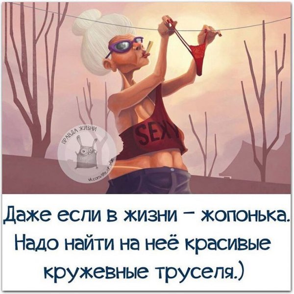 Веселые цитаты в картинках