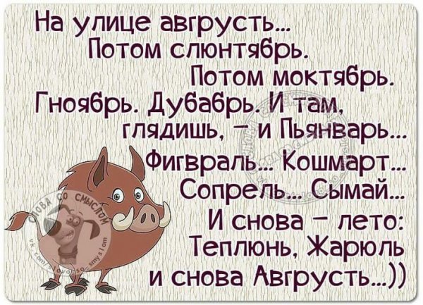 Добрые анекдоты в картинках