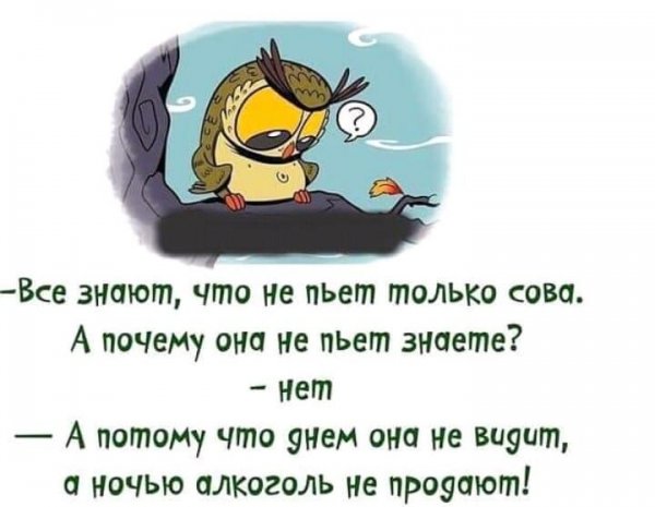 Цитаты со смыслом прикольные