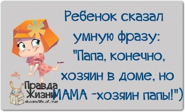 Смешные высказывания