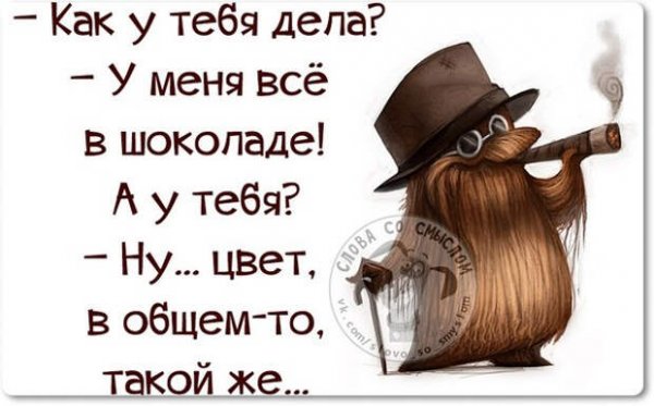 Прикольные фразочки