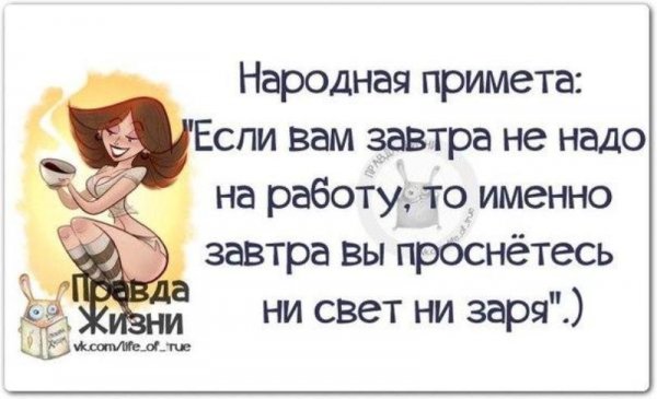 Прикольные высказывания о жизни