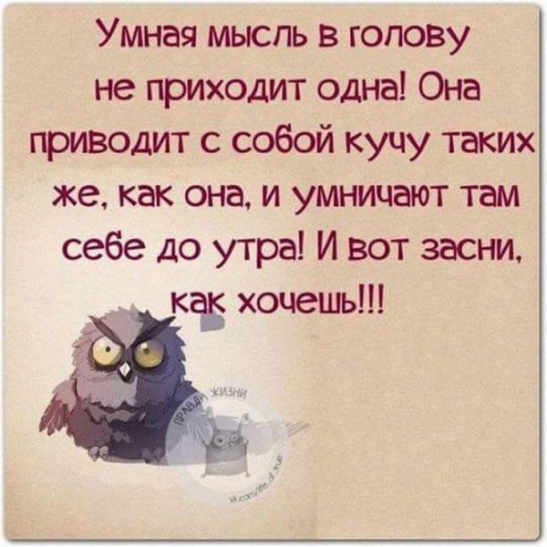 Смешные высказывания
