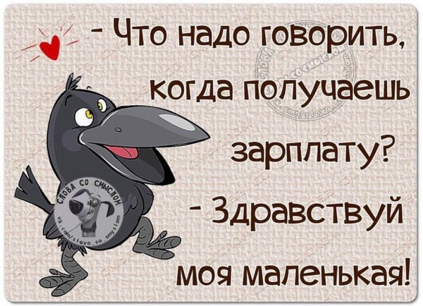 Прикольные мысли и высказывания