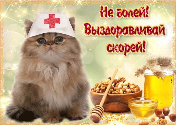 Открытки выздоравливай скорее