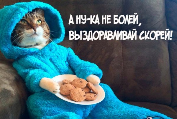 Выздоравливай картинки