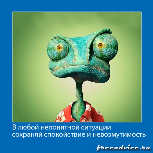 В любой непонятной ситуации
