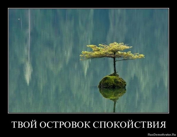 Спокойствие только СПО