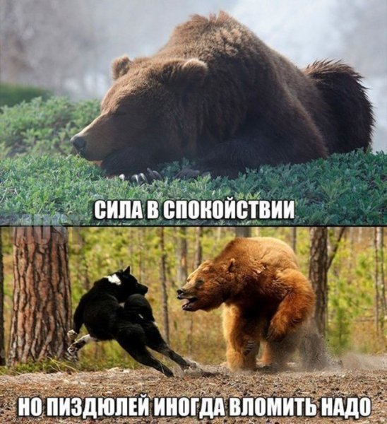 Спокойствие только спокойствие Карлсон
