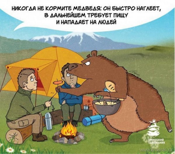 Шутки про поход