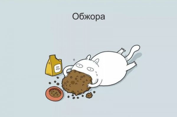 Картинки обжоры смешные