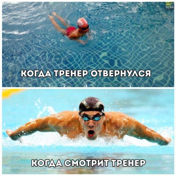 Шутки про тренера по плаванию
