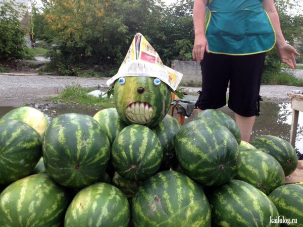Приколы с арбузами смешные