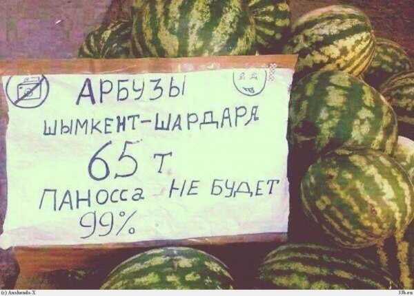 День арбуза приколы