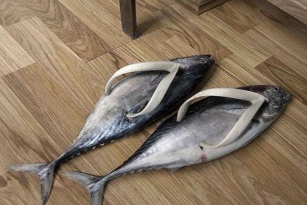 Самые странные тапки