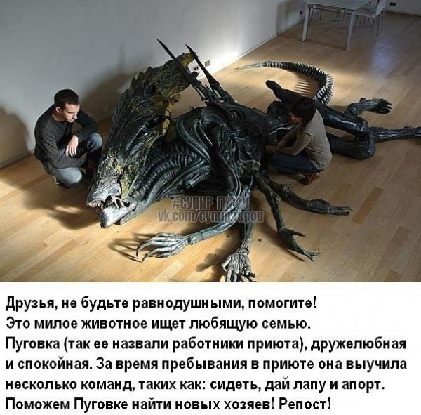 Мемы про чужого