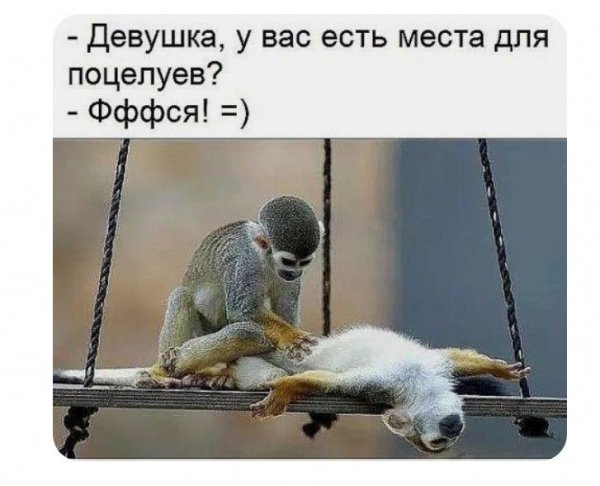 Смешные места для поцелуев